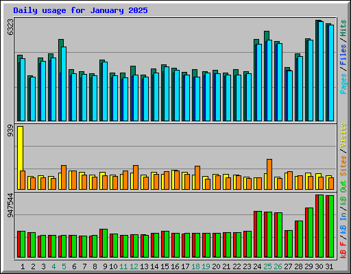 Daily usage for January 2025
