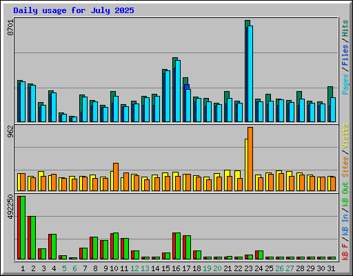 Daily usage for July 2025