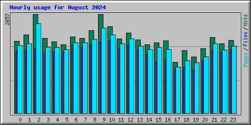 Hourly usage for August 2024