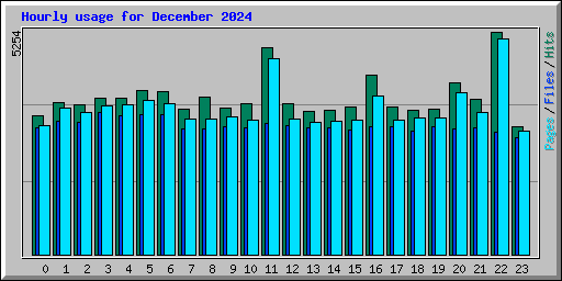 Hourly usage for December 2024