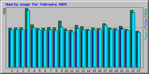 Hourly usage for February 2025
