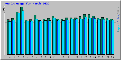 Hourly usage for March 2025
