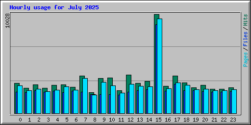 Hourly usage for July 2025