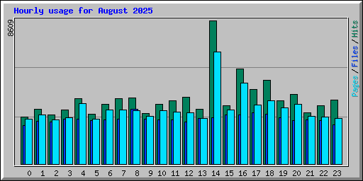 Hourly usage for August 2025