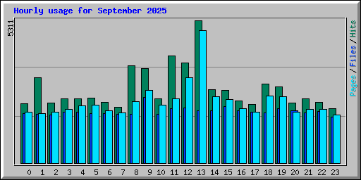 Hourly usage for September 2025